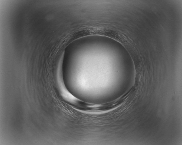 X0000081431345200701121251