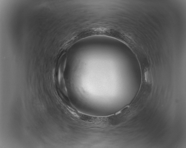 X0000081431347200701121251