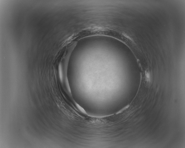 X0000081431348200701121251