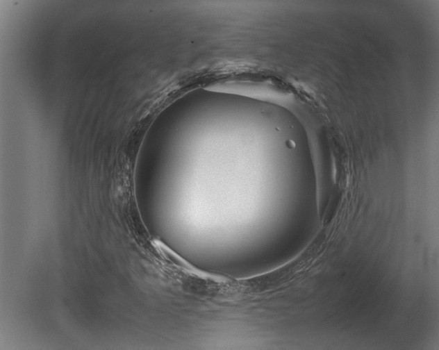 X0000081431349200701121251