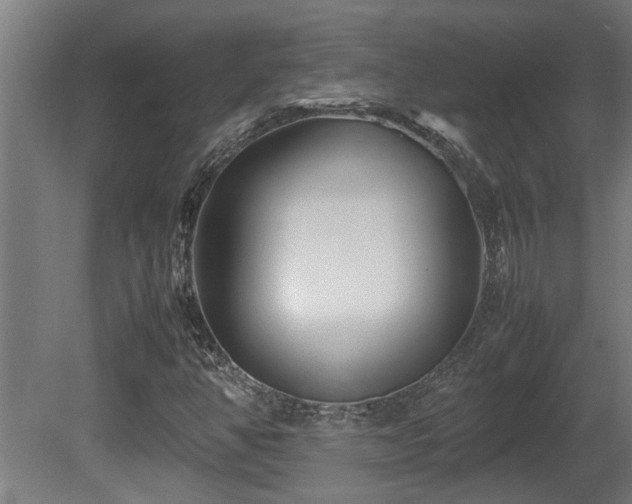 X0000081431350200701121251