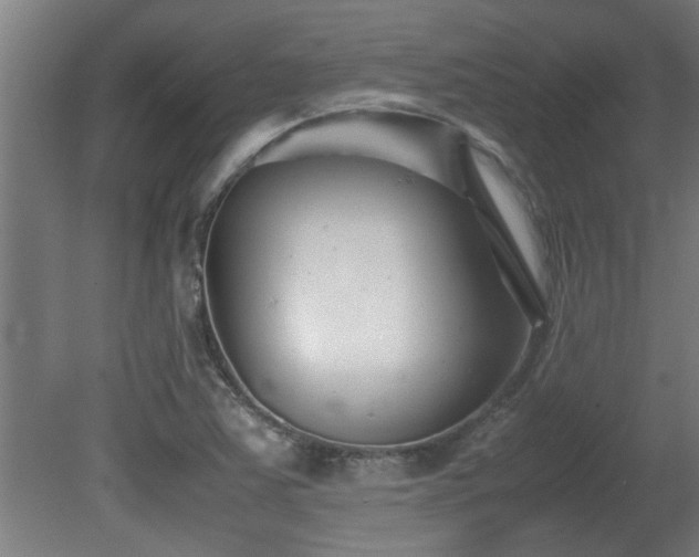 X0000081431363200701121251