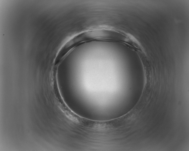 X0000081431364200701121251