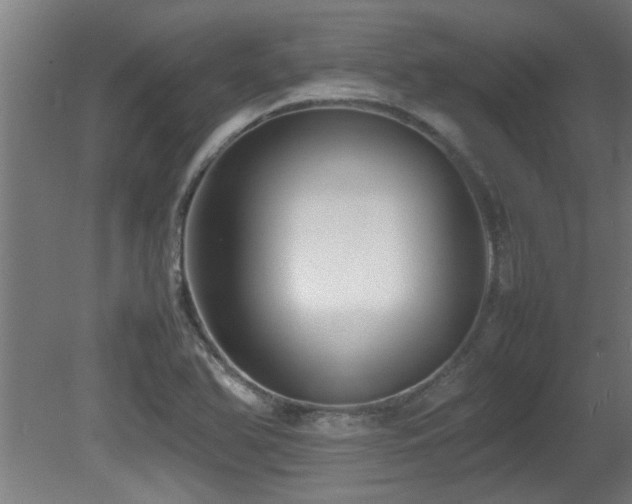 X0000081431366200701121251