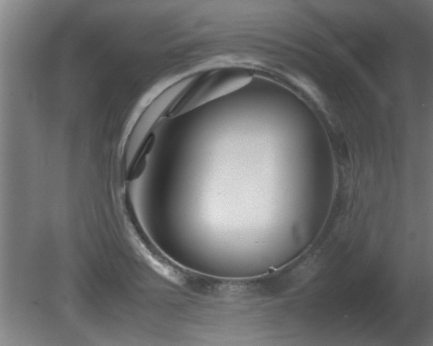 X0000081431371200701121251