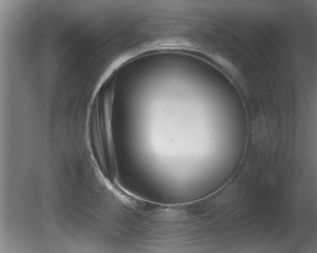 X0000081431374200701121251