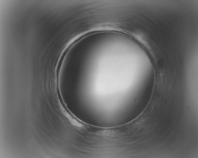 X0000081431380200701121251