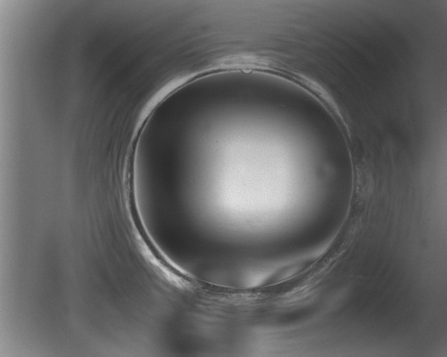 X0000081431387200701121250