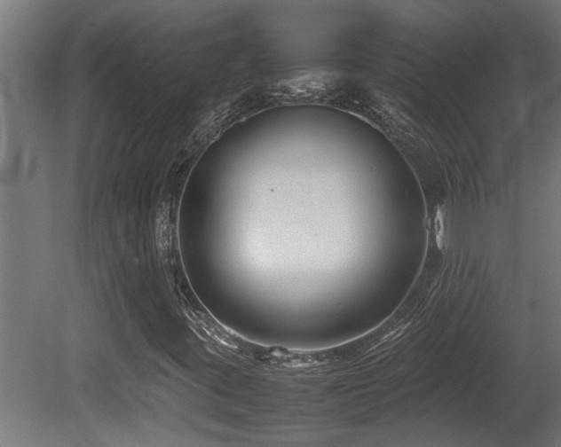 X0000081431395200701121250