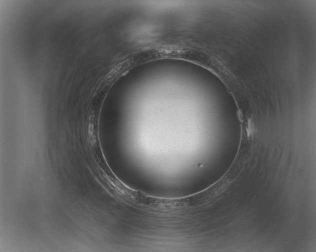 X0000081431396200701121250