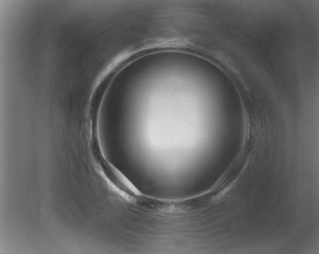 X0000081431414200701121250