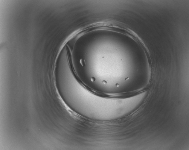 X0000081431434200701121250