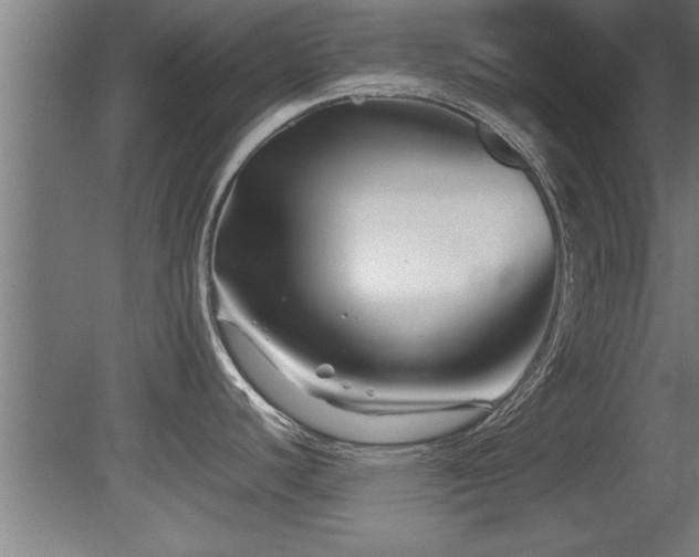 X0000081431440200701121250