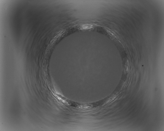 X0000081431441200701121250