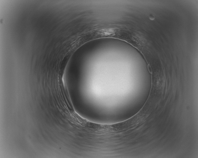 X0000081431442200701121250