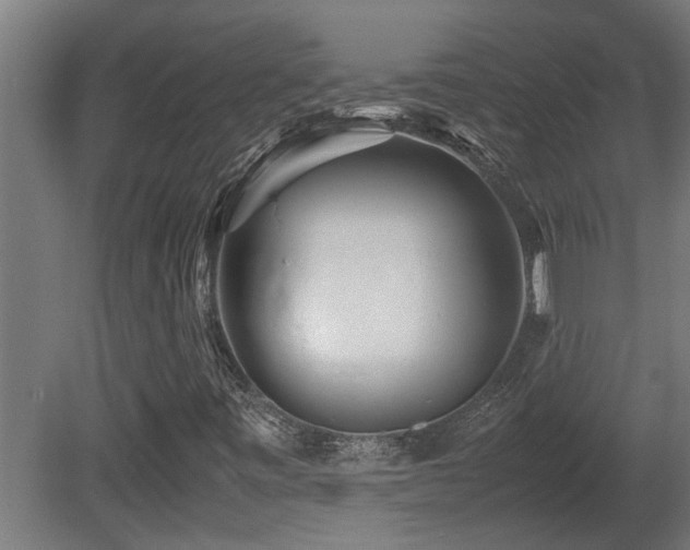 X0000081431443200701121250
