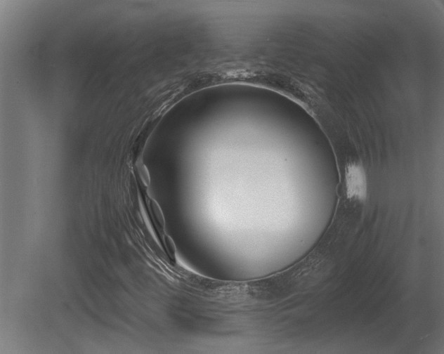 X0000081431444200701121249