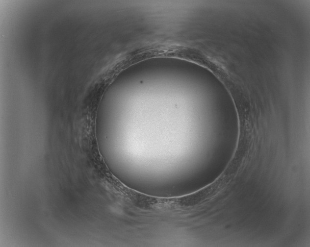 X0000081431447200701121249