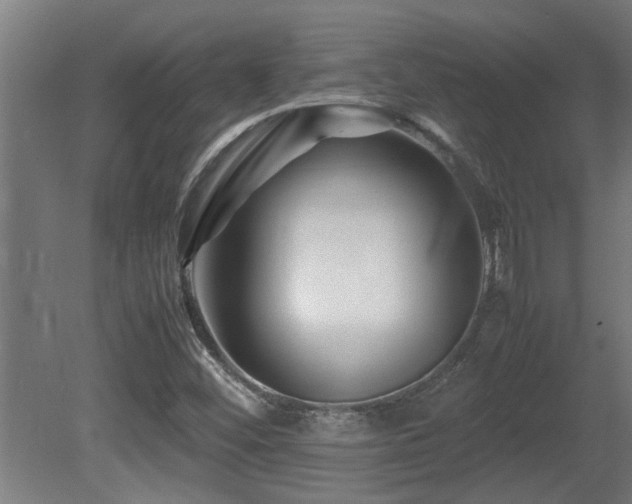 X0000081431452200701121249