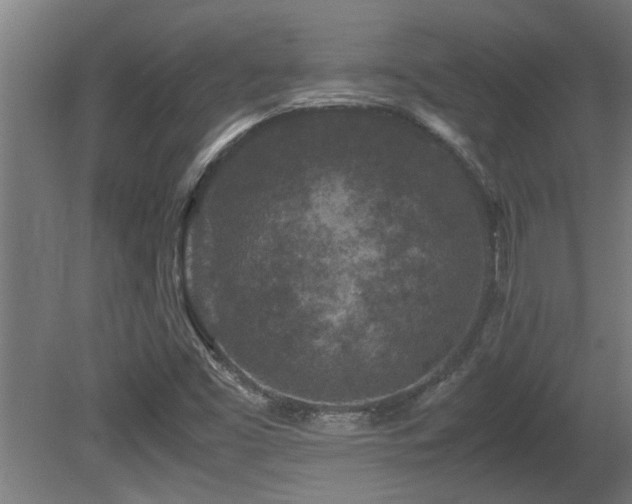 X0000081431453200701121249