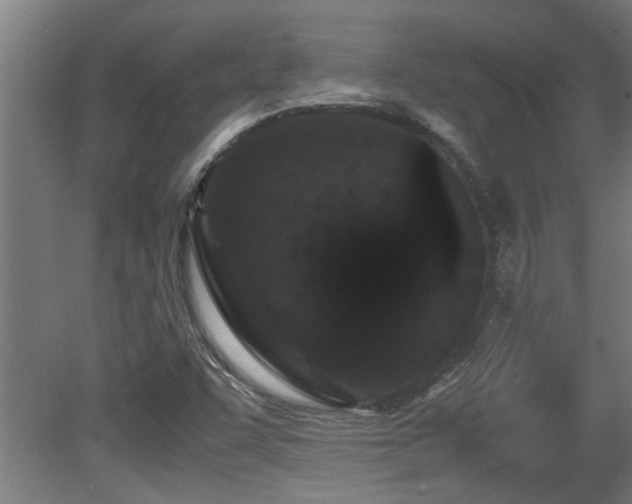 X0000081431455200701121249