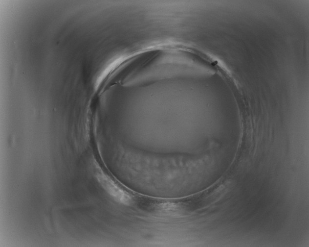 X0000081431463200701121249