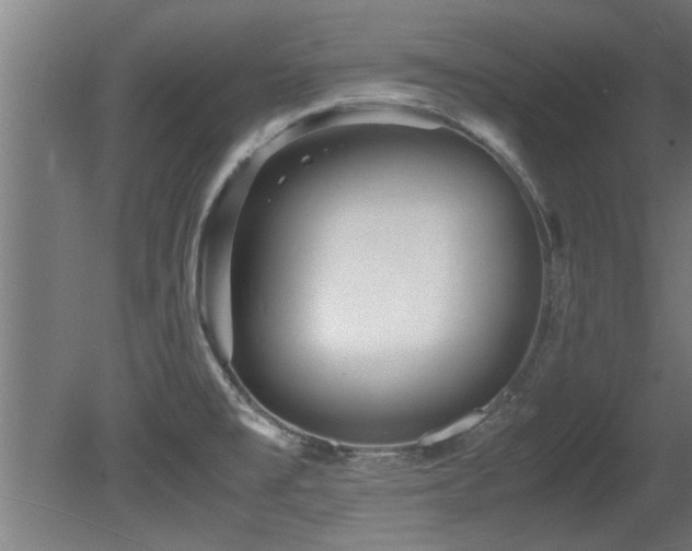 X0000081431477200701121249