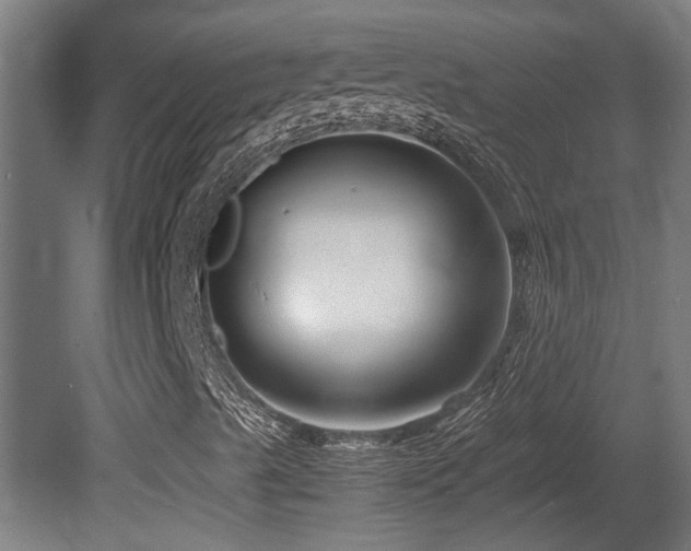 X0000081431489200701121248