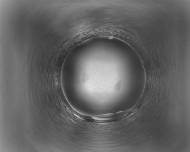 X0000081431490200701121248