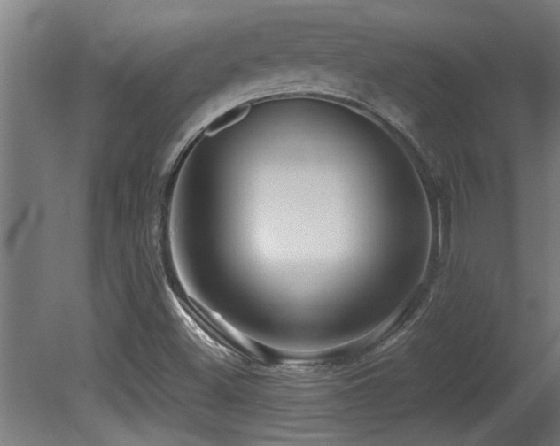 X0000081431500200701121248