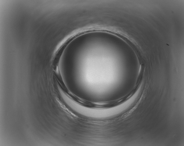 X0000081431502200701121248
