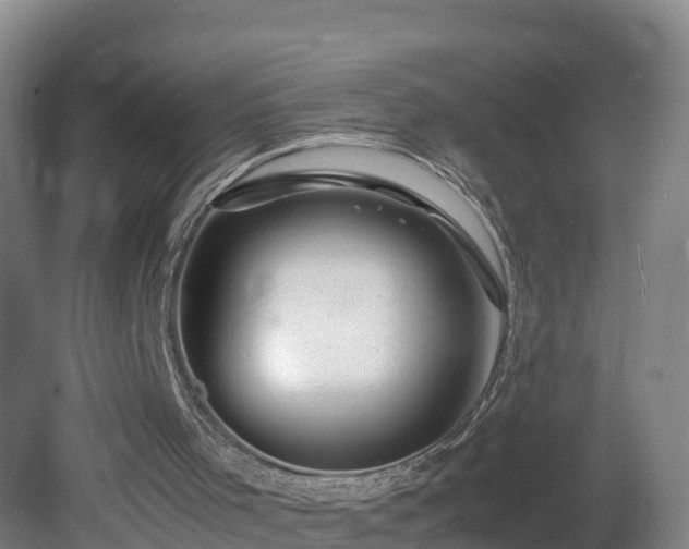 X0000081430001200701191634