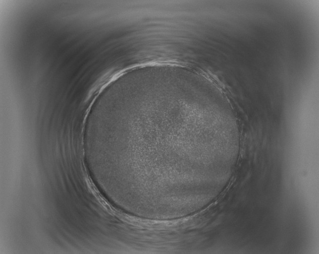 X0000081430002200701191634