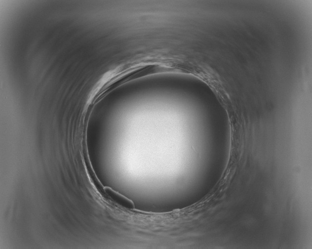 X0000081430003200701191634