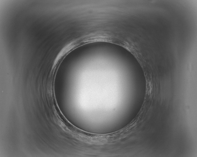 X0000081430004200701191634