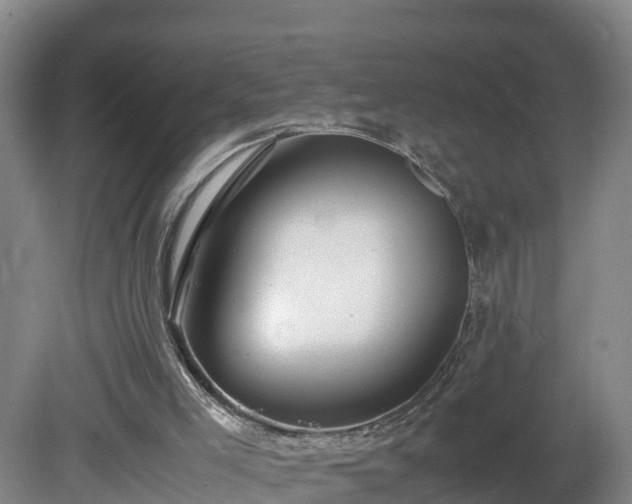 X0000081430005200701191634