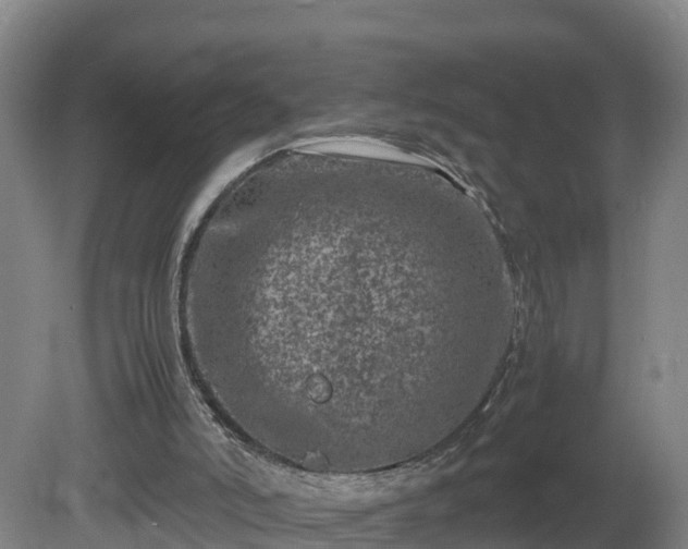 X0000081430006200701191634