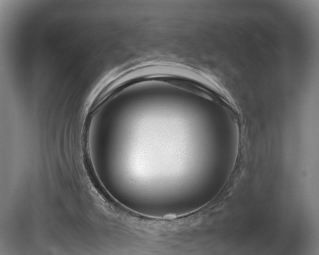 X0000081430007200701191634