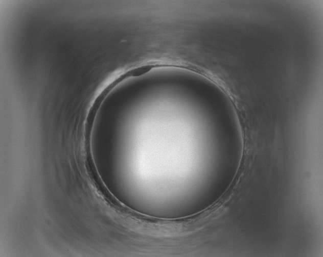 X0000081430008200701191634