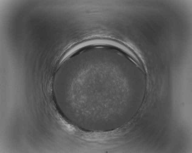 X0000081430009200701191634