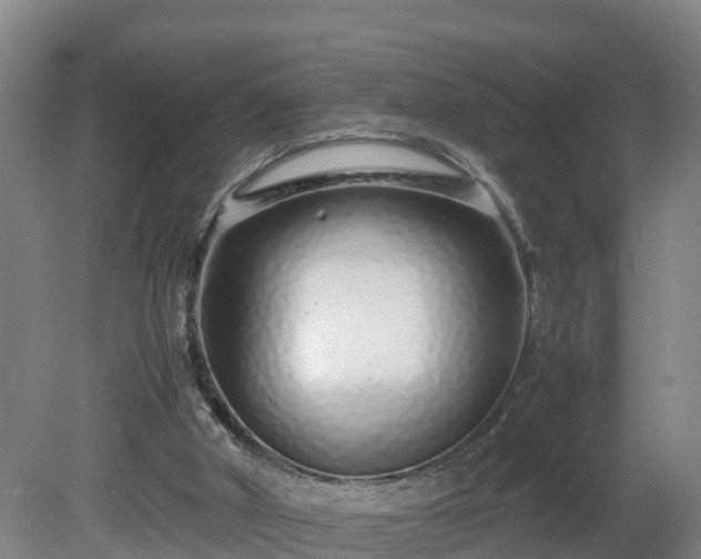 X0000081430010200701191634