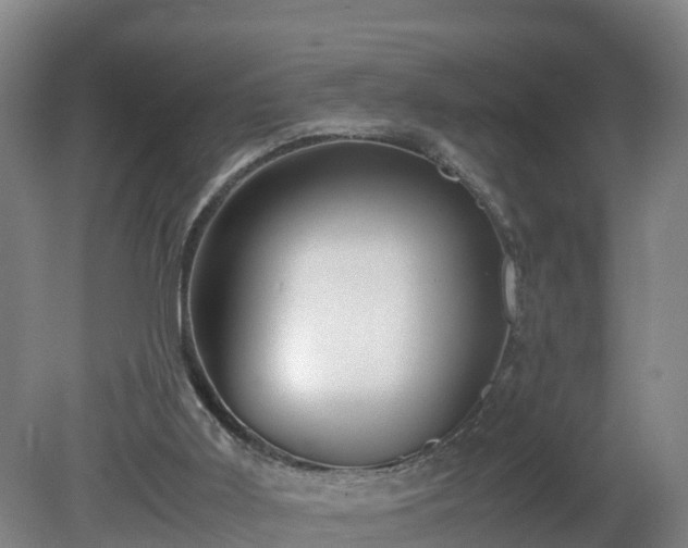 X0000081430011200701191634