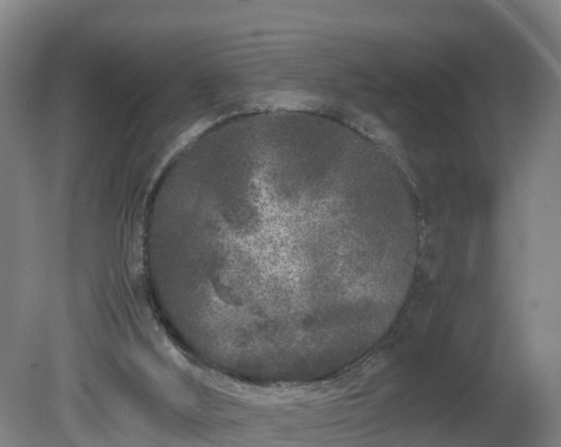 X0000081430012200701191634