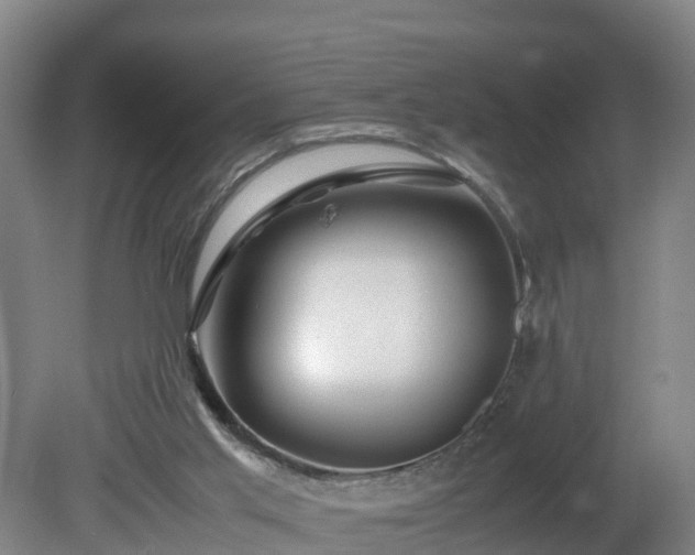 X0000081430013200701191634