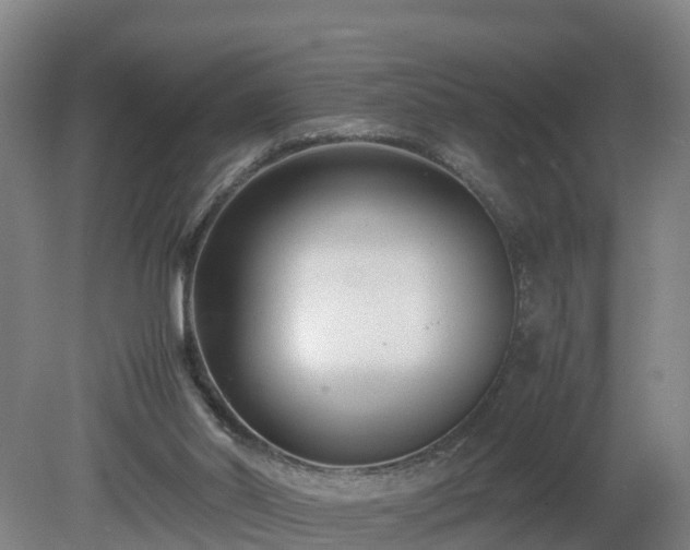 X0000081430014200701191634