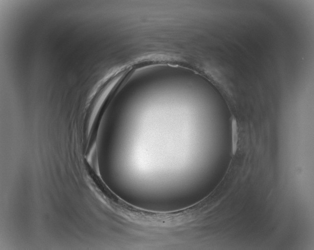 X0000081430015200701191634