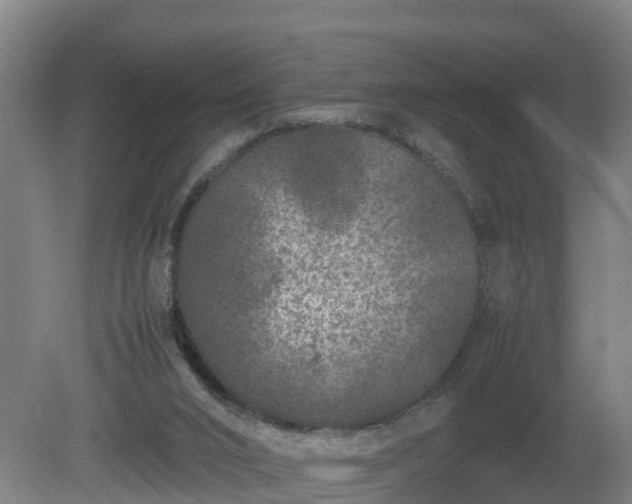 X0000081430016200701191634