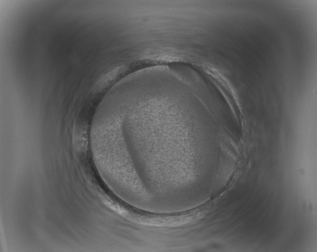 X0000081430017200701191634