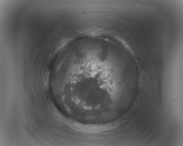 X0000081430018200701191634