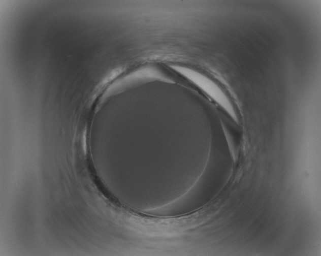 X0000081430019200701191634